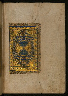 W.559, fol. 1b