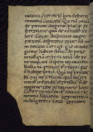 W.13, fol. 20v