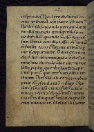 W.13, fol. 24v