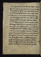 W.13, fol. 41v