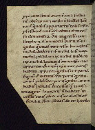 W.13, fol. 47v