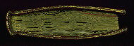 W.132, Tail