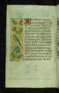 W.176, fol. 12v