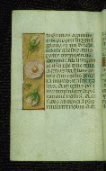 W.176, fol. 14v