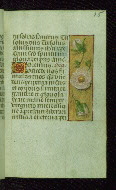 W.176, fol. 15r