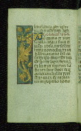W.176, fol. 15v
