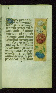 W.176, fol. 17r