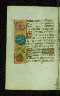 W.176, fol. 18v