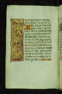W.176, fol. 19v