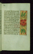 W.176, fol. 21r