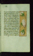 W.176, fol. 22r