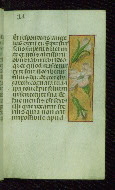 W.176, fol. 23r
