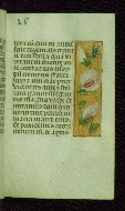 W.176, fol. 25r
