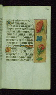 W.176, fol. 30r