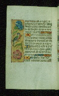 W.176, fol. 33v