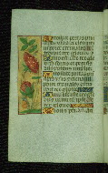 W.176, fol. 37v