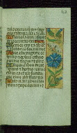 W.176, fol. 43r