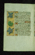 W.176, fol. 46v