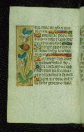 W.176, fol. 54v