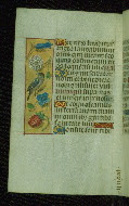 W.176, fol. 60v
