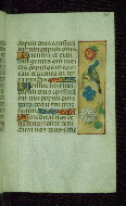W.176, fol. 61r