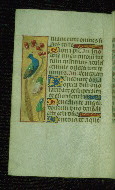 W.176, fol. 61v