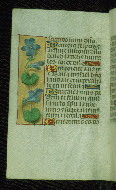 W.176, fol. 63v