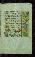 W.176, fol. 64r