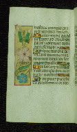 W.176, fol. 69v