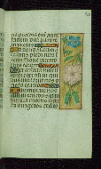 W.176, fol. 70r