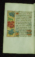 W.176, fol. 70v