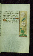 W.176, fol. 73r