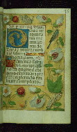W.176, fol. 75r