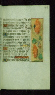 W.176, fol. 77r