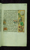 W.176, fol. 79r