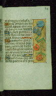 W.176, fol. 84r