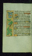 W.176, fol. 85v