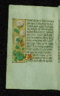 W.176, fol. 87v