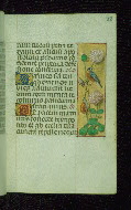 W.176, fol. 88r