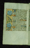 W.176, fol. 91v