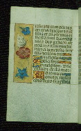 W.176, fol. 93v