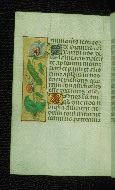 W.176, fol. 94v