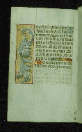 W.176, fol. 95v