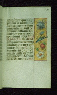 W.176, fol. 101r