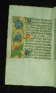 W.176, fol. 101v