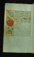W.176, fol. 102v