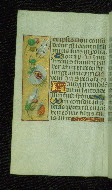 W.176, fol. 108v