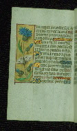 W.176, fol. 111v