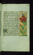 W.176, fol. 113r