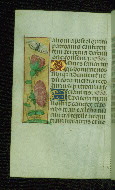 W.176, fol. 113v